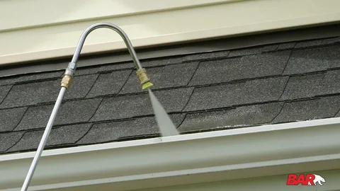 Clogged gutters before cleaning service in Perth